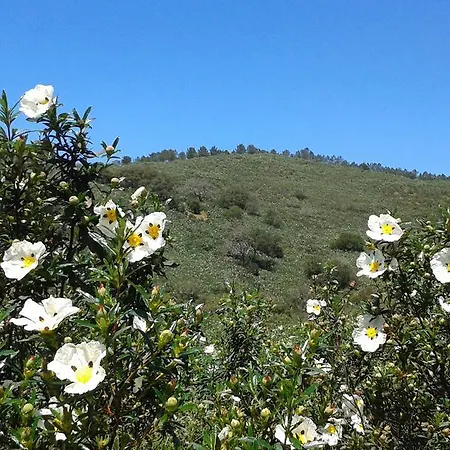 Monte Da Vilarinha